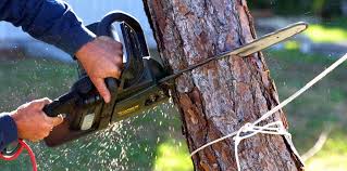 Best Weed Control  in Suquamish, WA