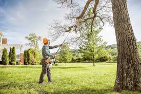 Best Hedge Trimming  in Suquamish, WA