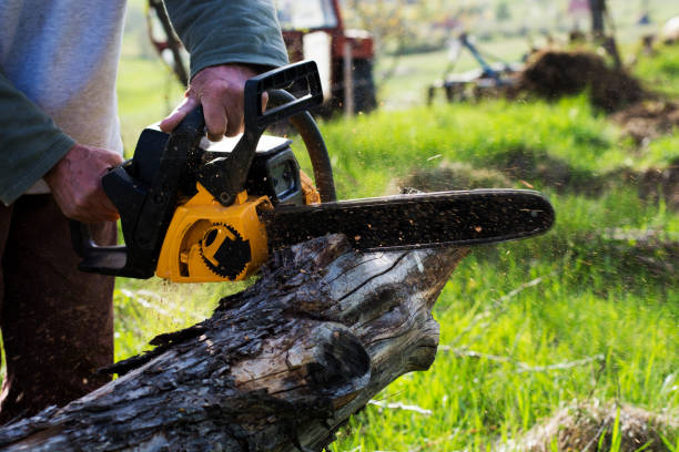 Best Leaf Removal  in Suquamish, WA